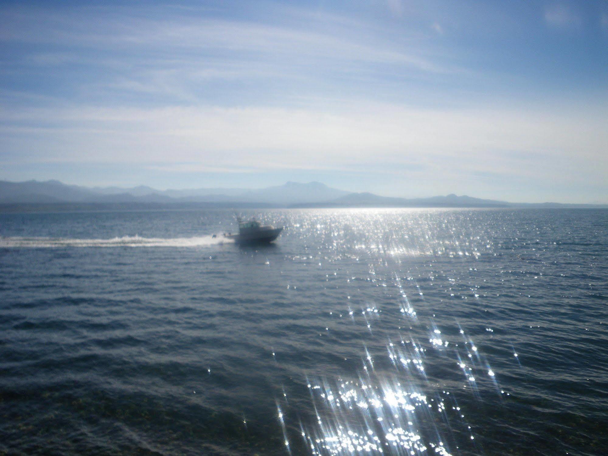 Orca Lodge Sointula Luaran gambar